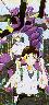 Shinji Ikari & Kaworu Nagisa